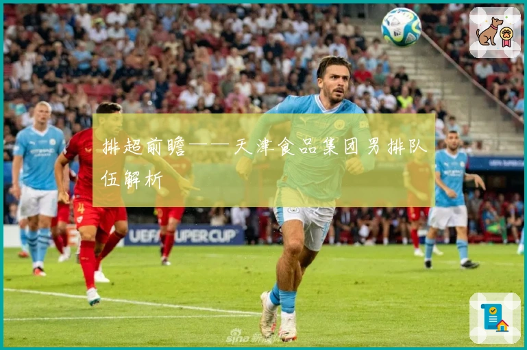 排超前瞻——天津食品集团男排队伍解析